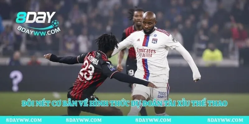 Đôi nét cơ bản về hình thức dự đoán tài xỉu thể thao