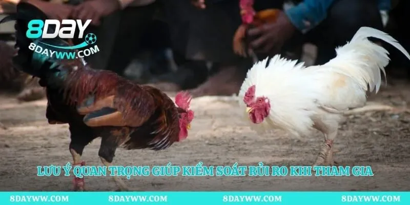 Lưu ý quan trọng giúp kiểm soát rủi ro khi tham gia